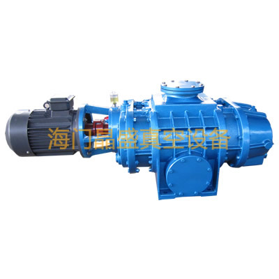 ZJ.ZJP 罗茨真空泵