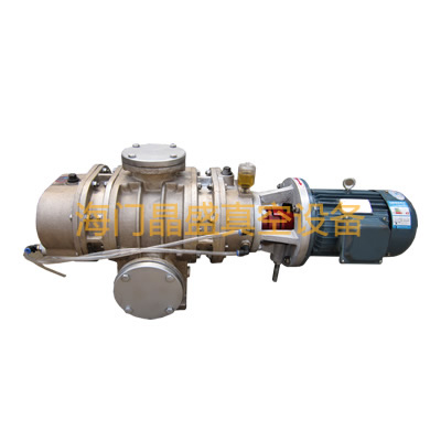 <b>ZJ不锈钢罗茨真空泵</b>