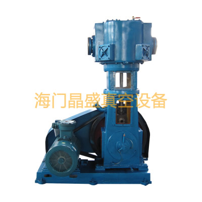 <b>无油立式真空泵</b>