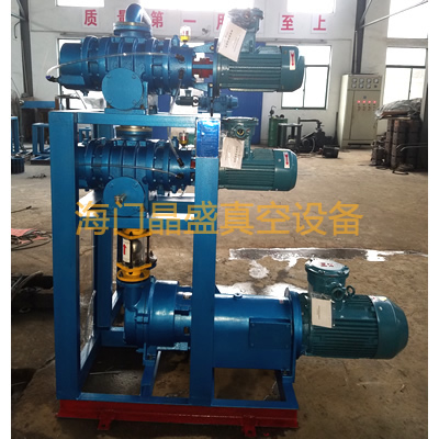 <b>JZJS水环(2BV)罗茨真空机组</b>