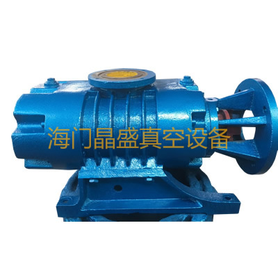 <b>ZJ罗茨真空泵</b>