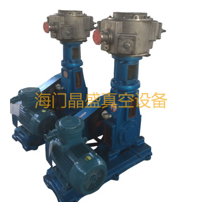 <b>不锈钢无油立式真空泵</b>